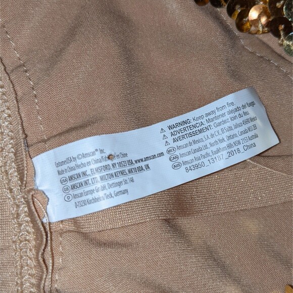 Gold Fringe Dress - Picture 5 of 6